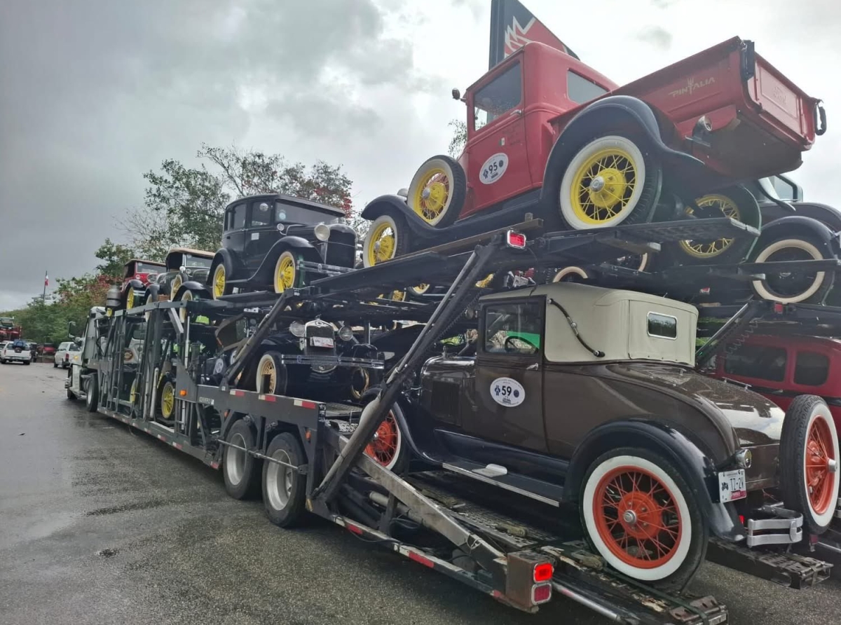 Narcopoliticos Refinados Con A